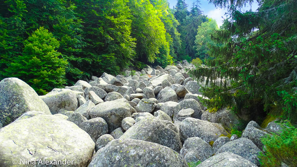 Hiking to Golden bridges, Vitosha 11