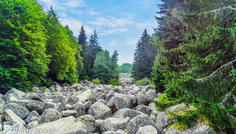 Hiking to Golden bridges, Vitosha 14