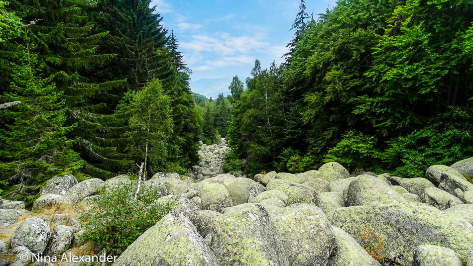 Hiking to Golden bridges, Vitosha 26