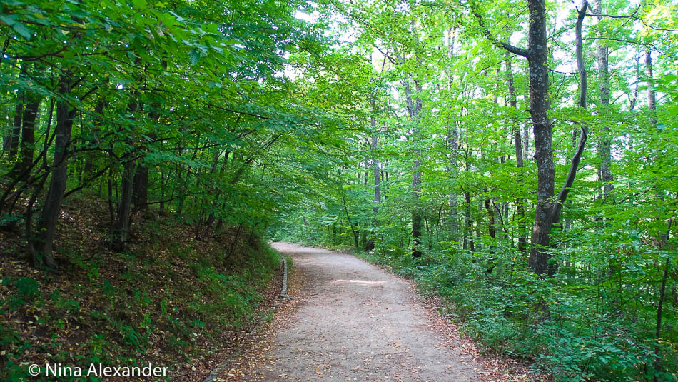Vitosha walking path 2