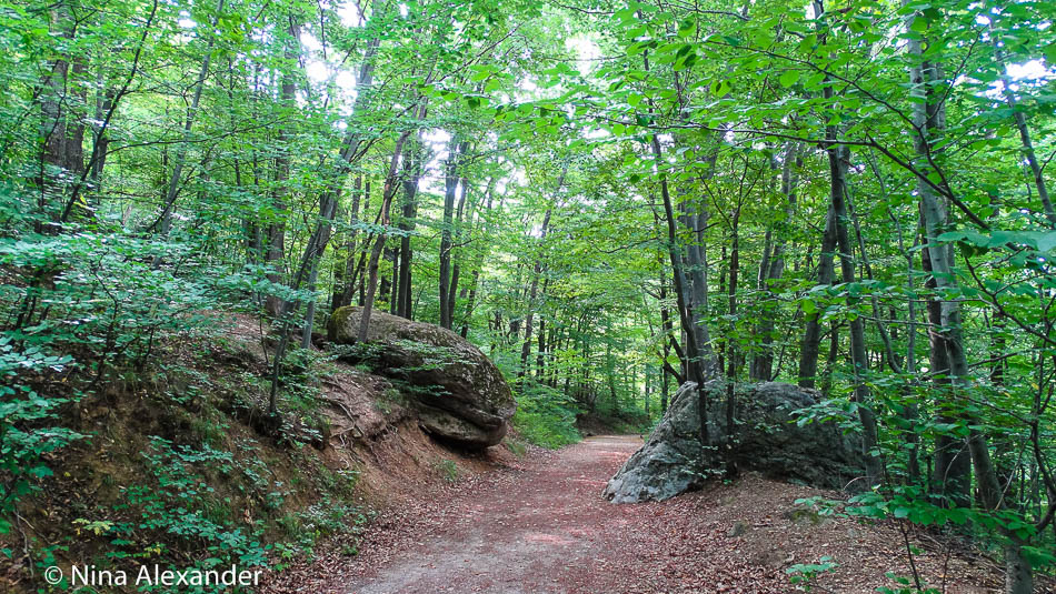Hiking to Golden bridges, Vitosha 8