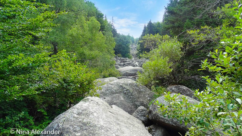 Hiking to Golden bridges, Vitosha 10
