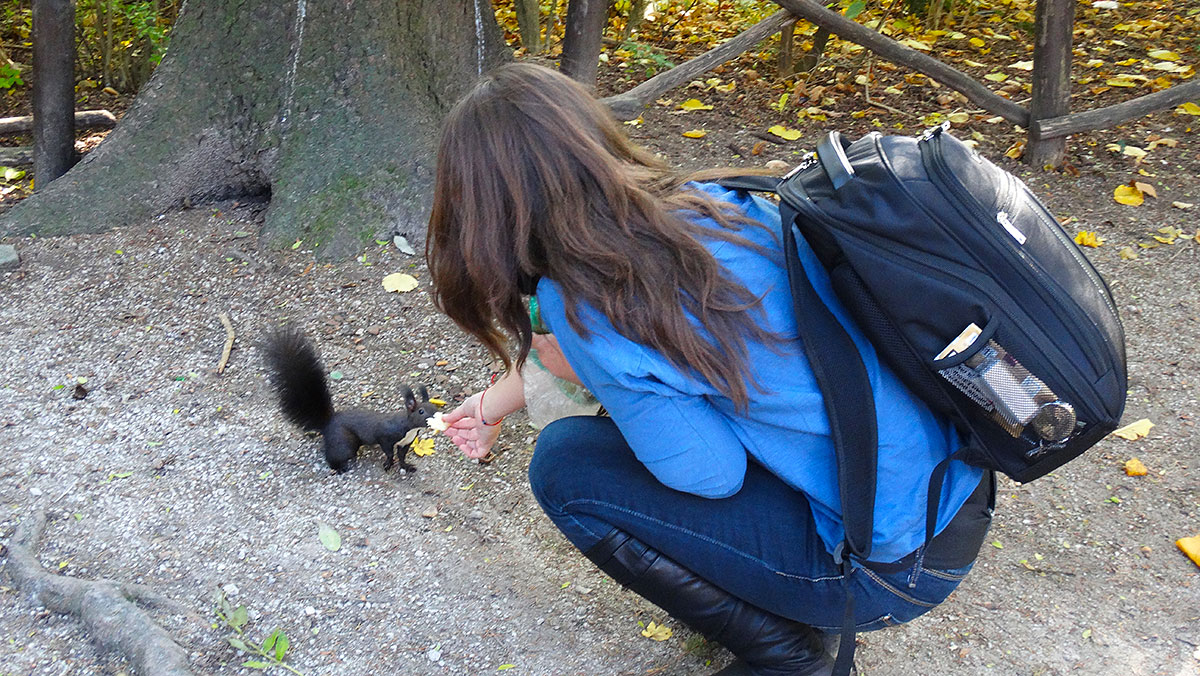 Feeding a squirrel in Tivoli park, Ljubljana