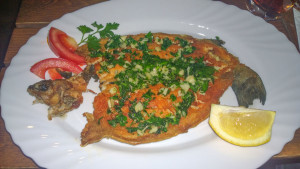 Complex Kosovo Houses, trout fish menu