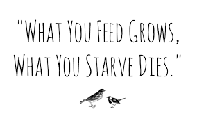 What you feed grows what you starve dies
