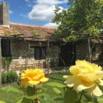 Levana guest house - Balgarevo accomodation