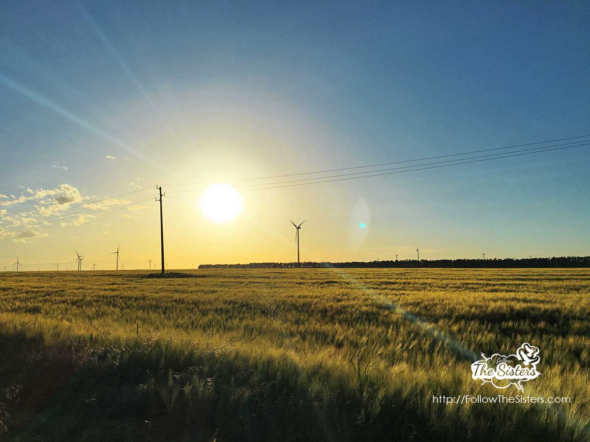 Stunning wheat fiels in Kavarna