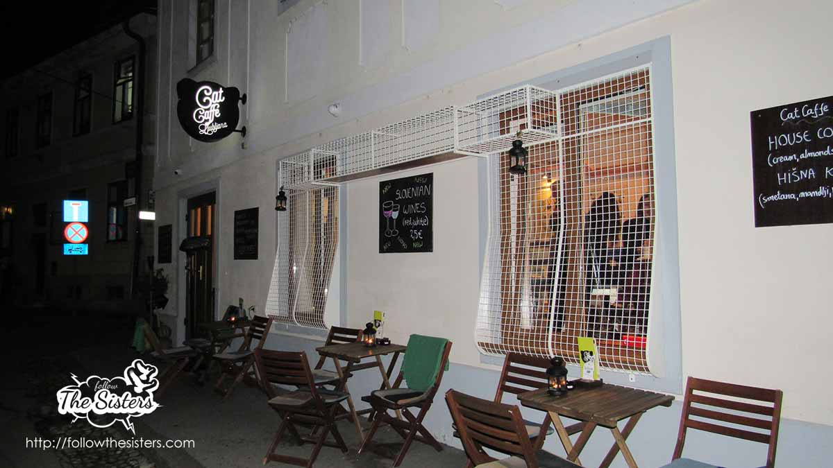 Cat Cafe