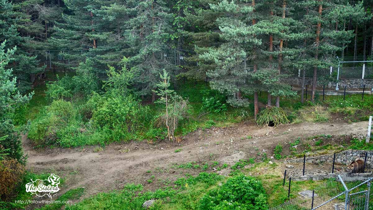 Dancing bears Belitsa park: human-made bear den