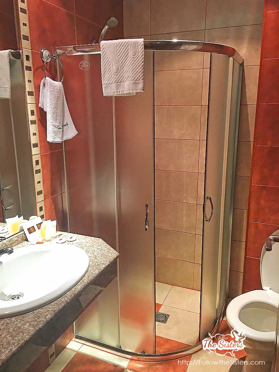 Green Wood Hotel Bansko room 2