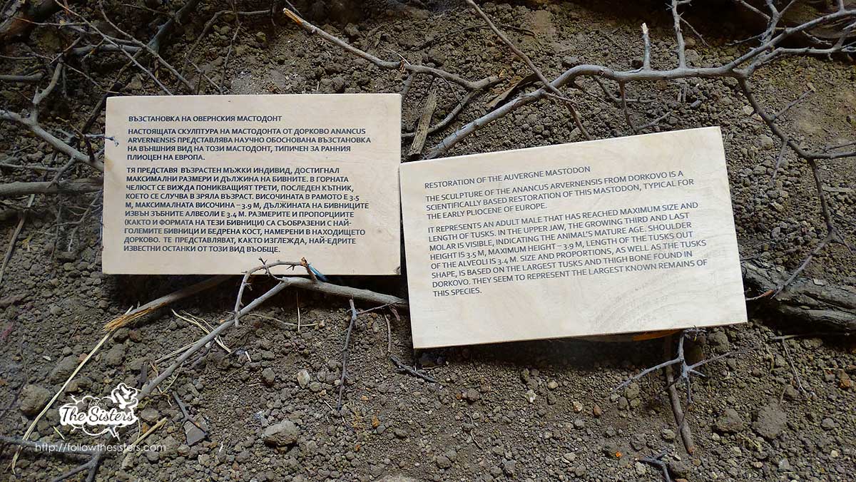 Information about the mammoth in Dorkovo
