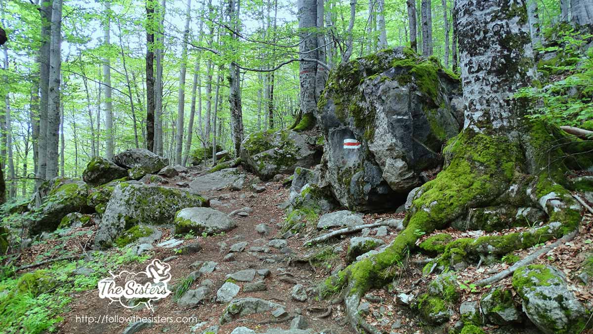 The path to the cave of Ivan Rilski