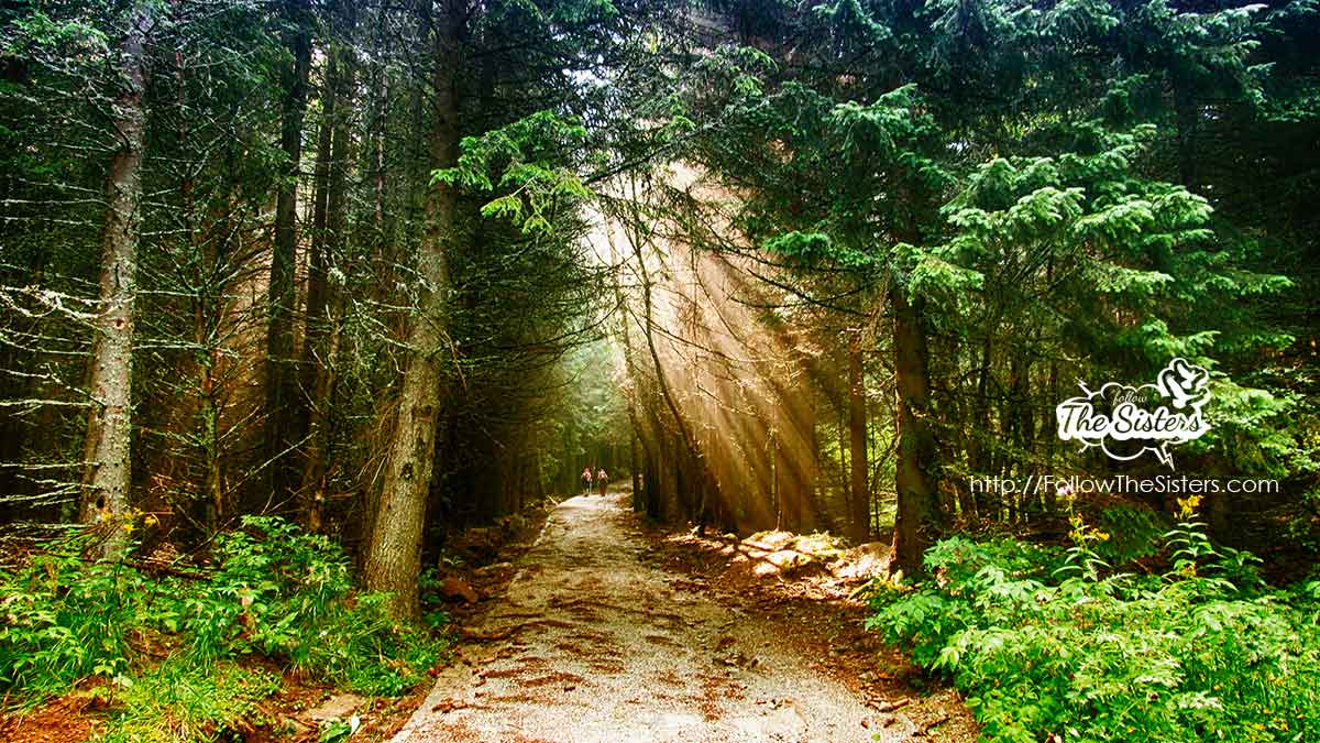 Lights on the way to Cherni vrah