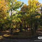 Dupnitsa, city garden