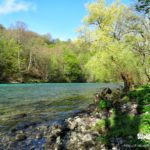 Tara River