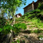 The path towards Drina-Tara Rafting Center