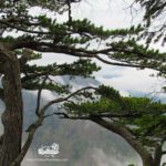 Thick fog in Bosnia and Herzegovina