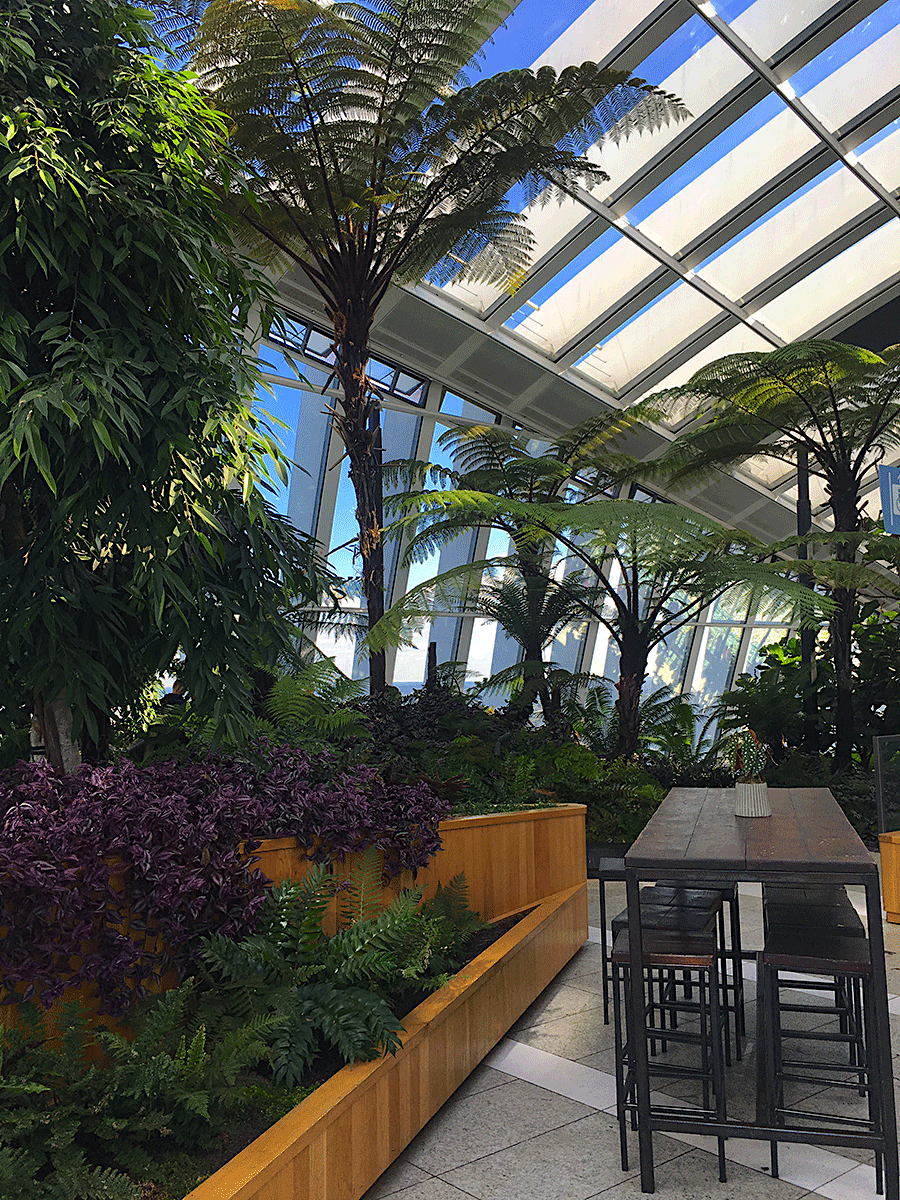 The prettiest area of London Sky Garden